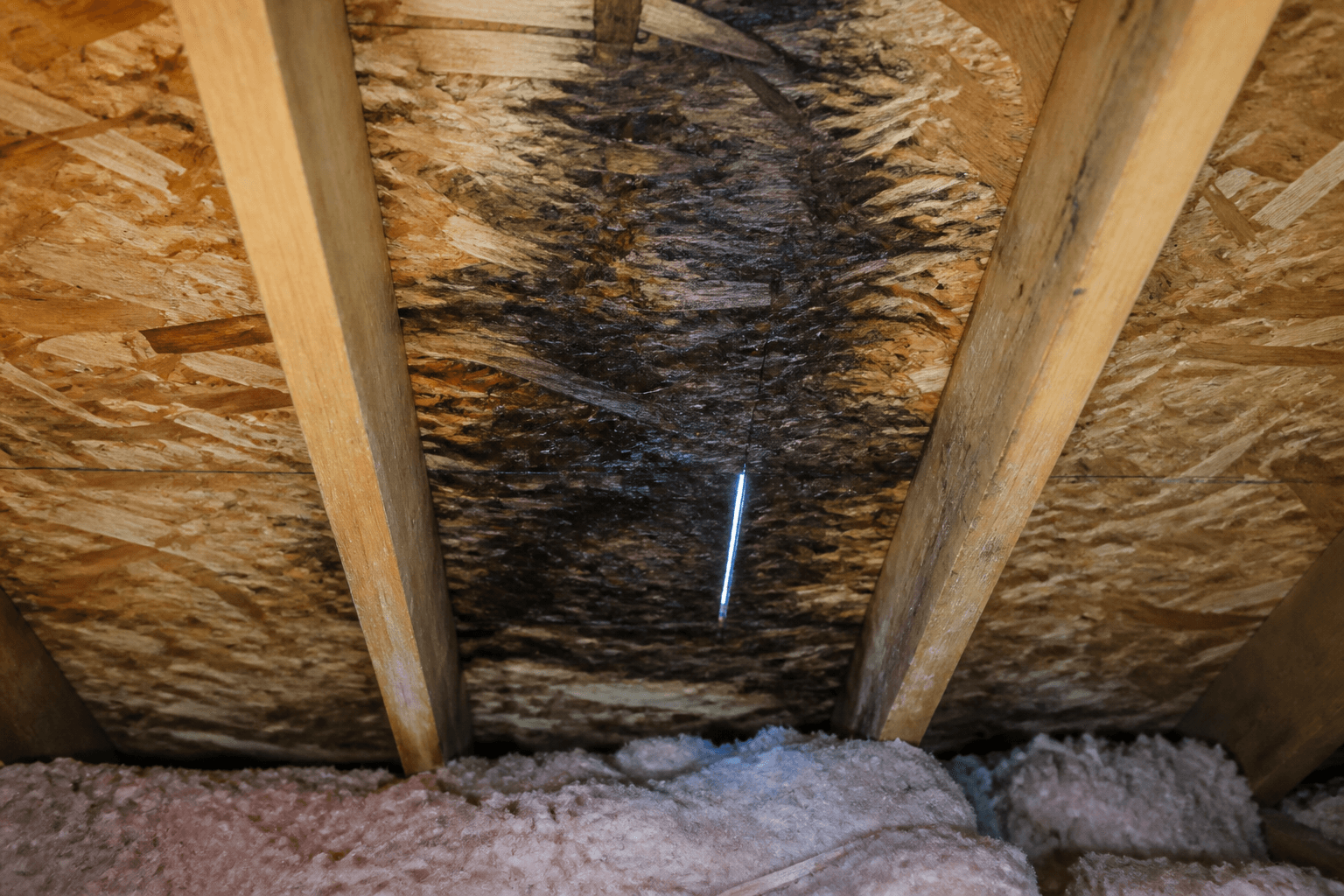 Attic underside of OSB roof deck between rafters, dark water staining and a slit of daylight through the wood