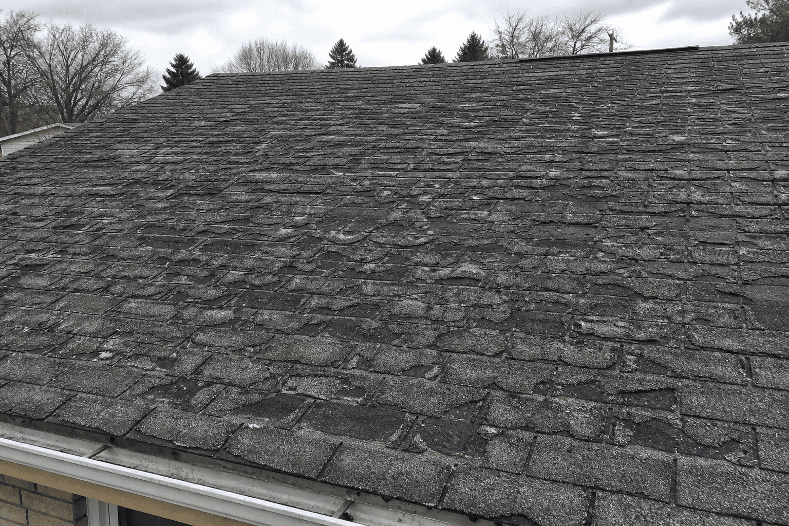 Entire residential roof slope of old bald asphalt shingles, cupped and cracked from eave to ridge